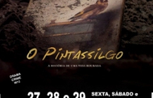 Cinema: "O PINTASSILGO"