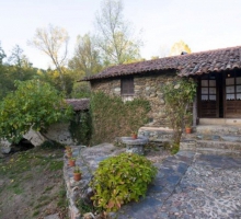 Molino de Caniço Molino de Caniço