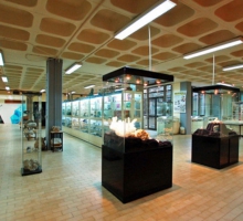 Museu de Geologia da UTAD