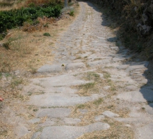 Via de São Mamede de Ribatua