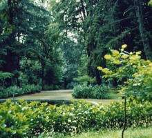 Parque das Termas de Vizela