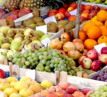 Feira de São Martinho da Gandra