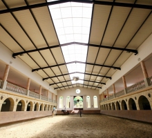 Academia Equestre Arte Lusitana 