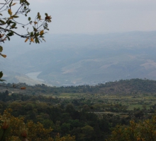 Miradouro de Santa Bárbara